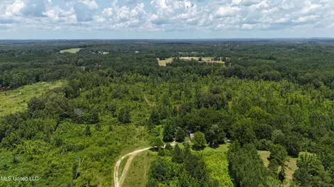 1820 County Road 478, Myrtle, MS 38650 photo 18