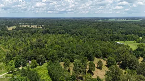 1820 County Road 478, Myrtle, MS 38650 photo 16