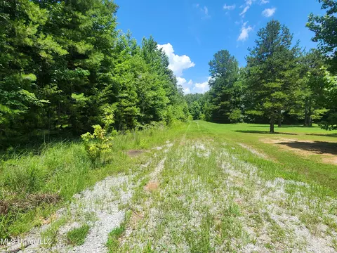 1820 County Road 478, Myrtle, MS 38650 photo 26
