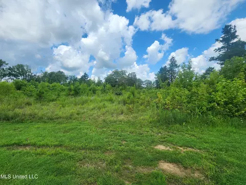 1820 County Road 478, Myrtle, MS 38650 photo 9