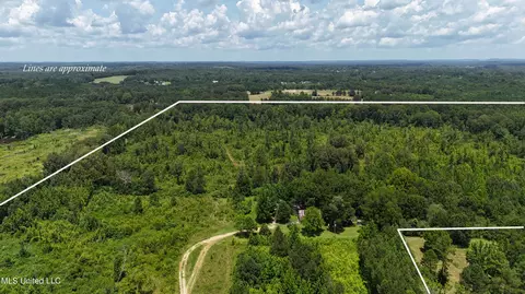 1820 County Road 478, Myrtle, MS 38650 photo 19