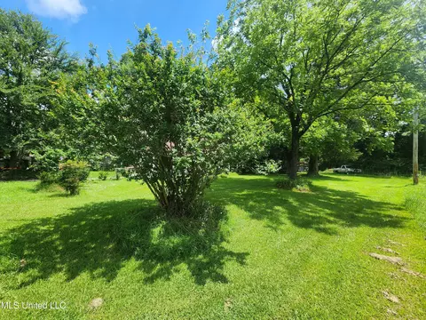 1820 County Road 478, Myrtle, MS 38650 photo 7