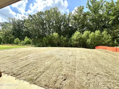 Exterior - 2593 River Ouse Dr, Hernando, MS 38632 photo 4 of 11