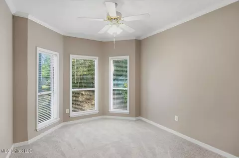 Other - 414 Violet Dr, Madison, MS 39110 photo 8 of 11