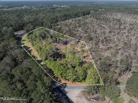 6 16 - Acres Shirley Sanford Rd, Seminary, MS 39479