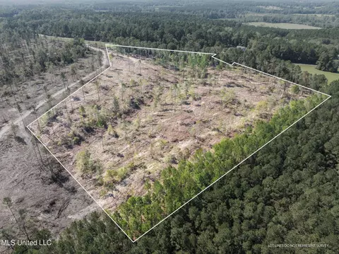 14 55 - Acres Shirley Sanford Rd, Seminary, MS 39479