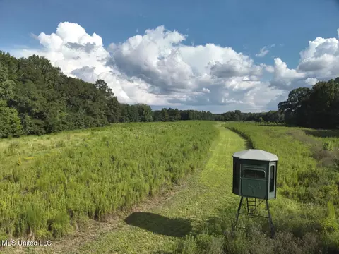 Scotland Road, Bentonia, MS 39040