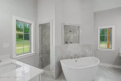 Bath - 9065 Bennett Trl, Hernando, MS 38632 photo 1 of 4