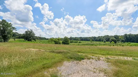 768 Scr 32 A, Forest, MS 39074 photo 51