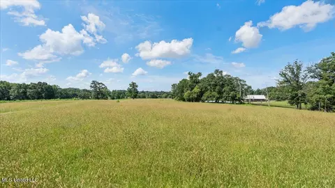 768 Scr 32 A, Forest, MS 39074 photo 50