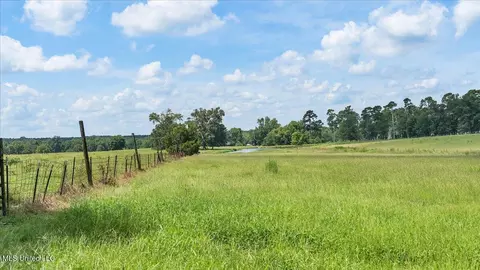 768 Scr 32 A, Forest, MS 39074 photo 66