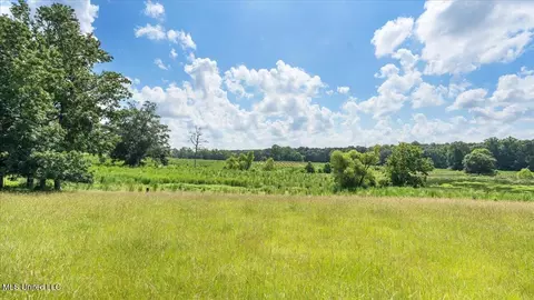 768 Scr 32 A, Forest, MS 39074 photo 53