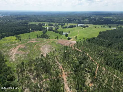 768 Scr 32 A, Forest, MS 39074 photo 7