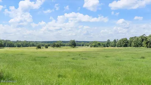 768 Scr 32 A, Forest, MS 39074 photo 65