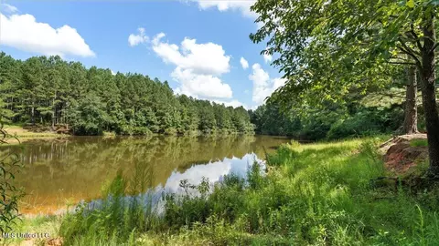 768 Scr 32 A, Forest, MS 39074 photo 54