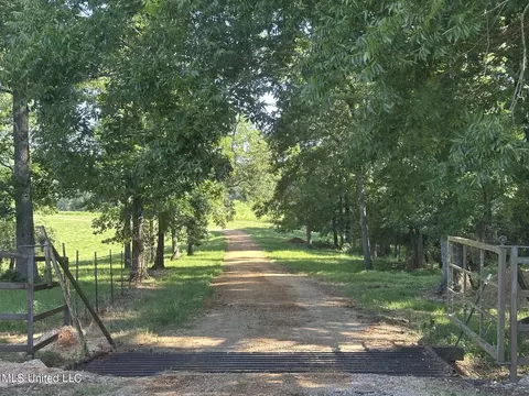 768 Scr 32 A, Forest, MS 39074 photo 3