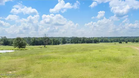768 Scr 32 A, Forest, MS 39074 photo 63