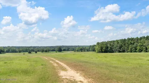 768 Scr 32 A, Forest, MS 39074 photo 62