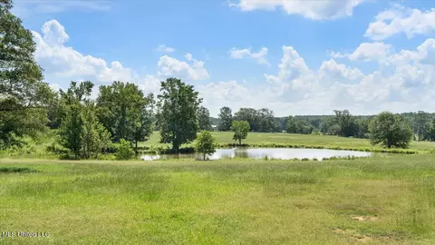 768 Scr 32 A, Forest, MS 39074 photo 64