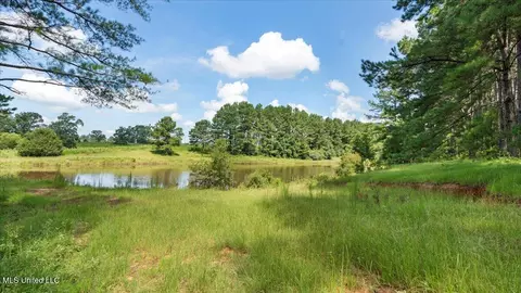768 Scr 32 A, Forest, MS 39074 photo 56