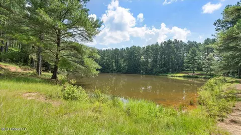 768 Scr 32 A, Forest, MS 39074 photo 58