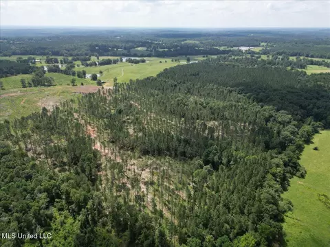 768 Scr 32 A, Forest, MS 39074 photo 6