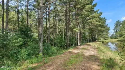 768 Scr 32 A, Forest, MS 39074 photo 55