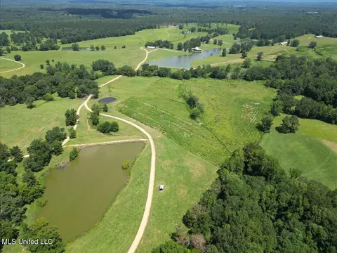 768 Scr 32 A, Forest, MS 39074 photo 5