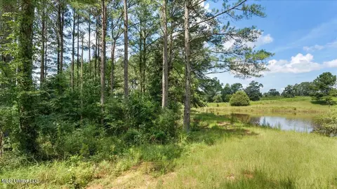 768 Scr 32 A, Forest, MS 39074 photo 57