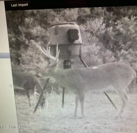 Other - 2917 Black Jack Rd, Vaughan, MS 39179 photo 38 of 47