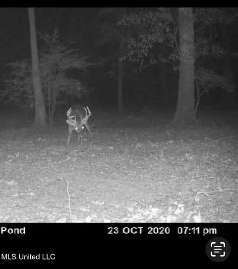 Other - 2917 Black Jack Rd, Vaughan, MS 39179 photo 39 of 47