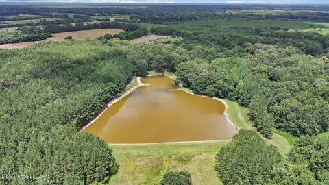View/Area - 2917 Black Jack Rd, Vaughan, MS 39179 photo 2 of 2