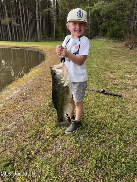 Other - 2917 Black Jack Rd, Vaughan, MS 39179 photo 37 of 47