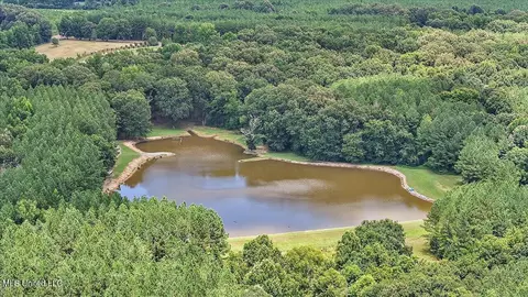View/Area - 2917 Black Jack Rd, Vaughan, MS 39179 photo 1 of 2