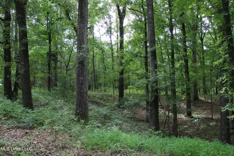 Campbell Road, Bentonia, MS 39040