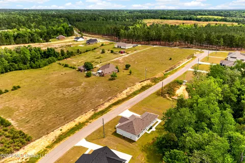 View/Area - 21 Shadow Wood Dr, Mchenry, MS 39561 photo 3 of 5