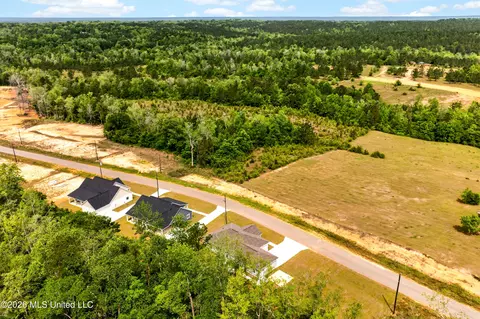 View/Area - 21 Shadow Wood Dr, Mchenry, MS 39561 photo 4 of 5