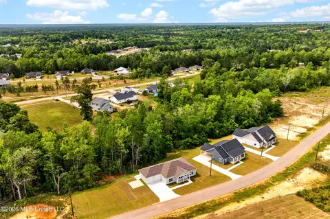 View/Area - 21 Shadow Wood Dr, Mchenry, MS 39561 photo 5 of 5