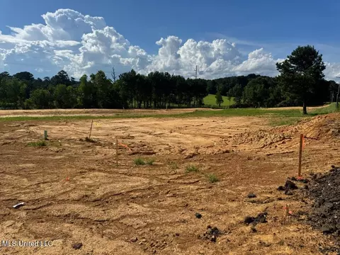 4821 Old Byram Road Rd, Jackson, MS 39212 photo 3