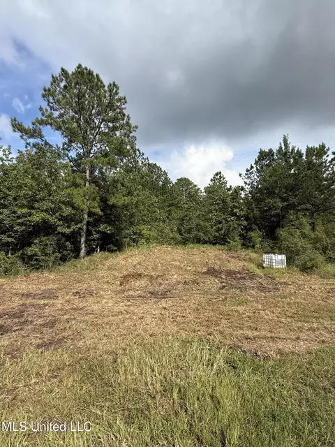 Macedonia Road, Crosby, MS 39633 photo 4