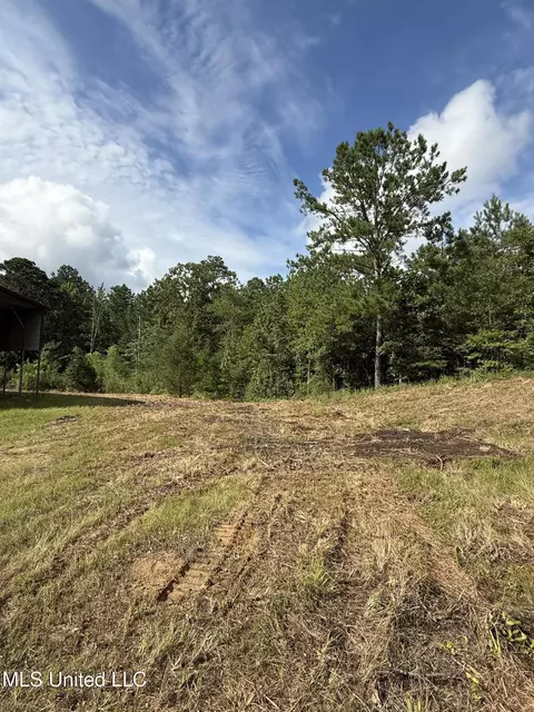 Macedonia Road, Crosby, MS 39633 photo 2
