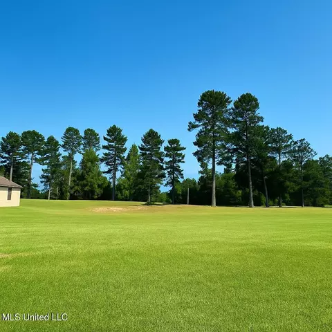 113 Vision Cir, Canton, MS 39046