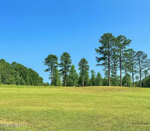 121 Vision Cir, Canton, MS 39046