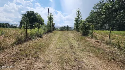 Hwy 305, Coldwater, MS 38618 photo 3