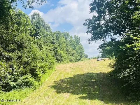 Hwy 305, Coldwater, MS 38618 photo 12