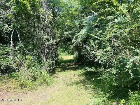 Hwy 305, Coldwater, MS 38618 photo 16