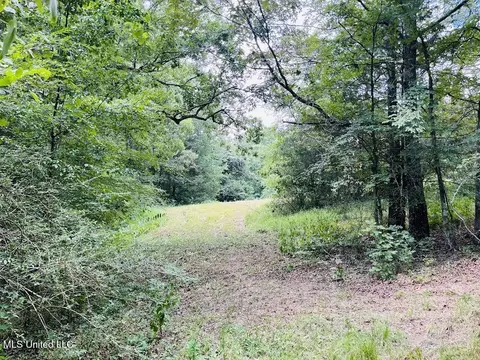 Hwy 305, Coldwater, MS 38618 photo 13