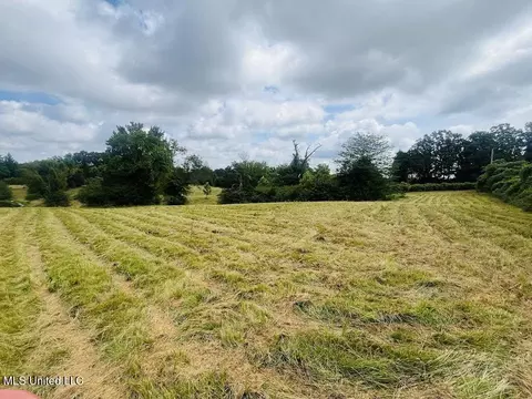 Hwy 305, Coldwater, MS 38618 photo 10