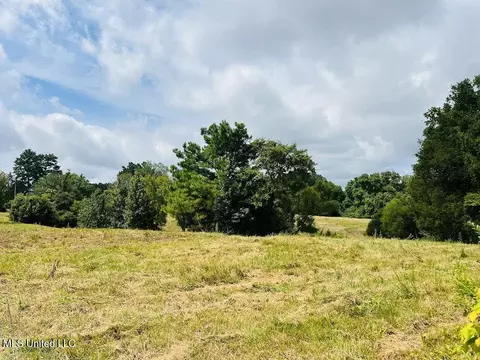 Hwy 305, Coldwater, MS 38618 photo 9