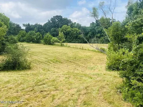 Hwy 305, Coldwater, MS 38618 photo 8